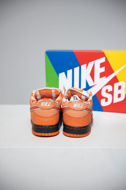 Dunk SB Lobster Orange (Taille 41)