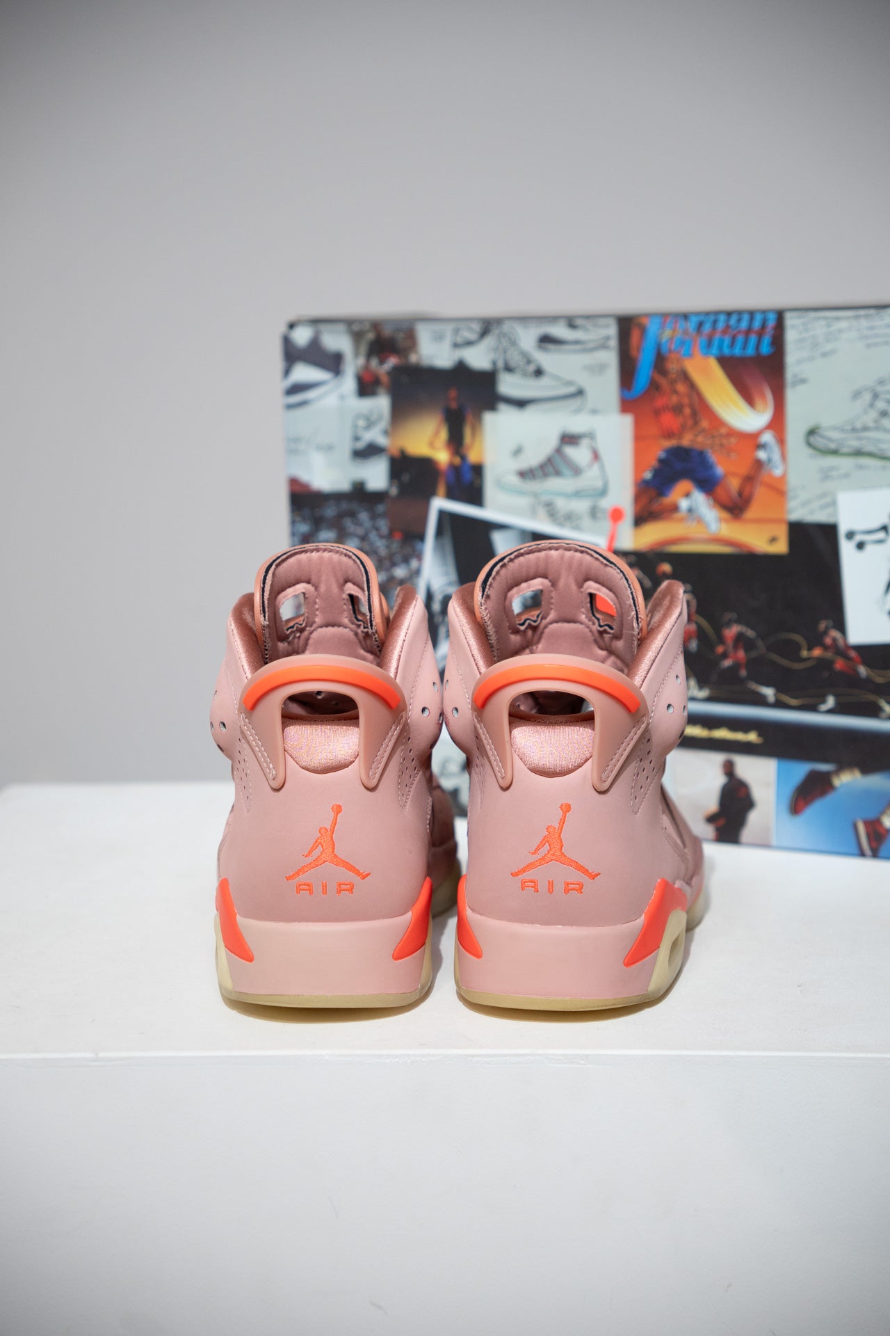 Jordan 6 Aleali May (Taille 41)