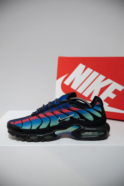 Air max Plus (TN) Berlin (Taille 45)