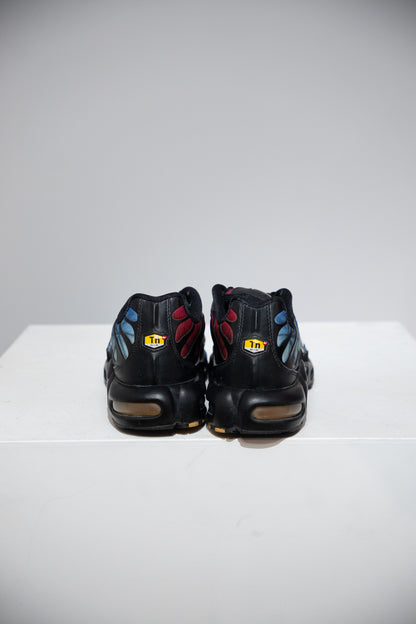 Air Max Plus (TN) Anniversary (Taille 44)