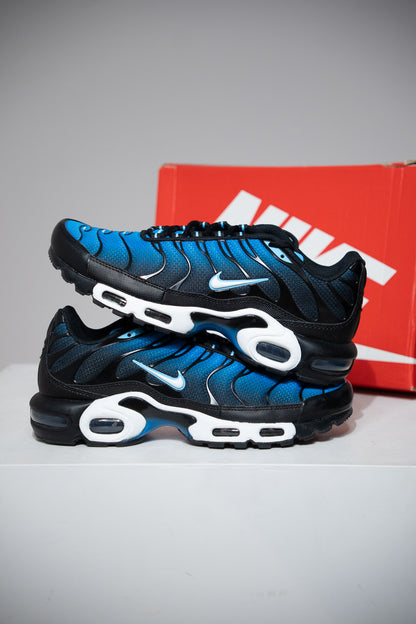 Air Max Plus (TN) Blue Metallic Silver (Taille 43)