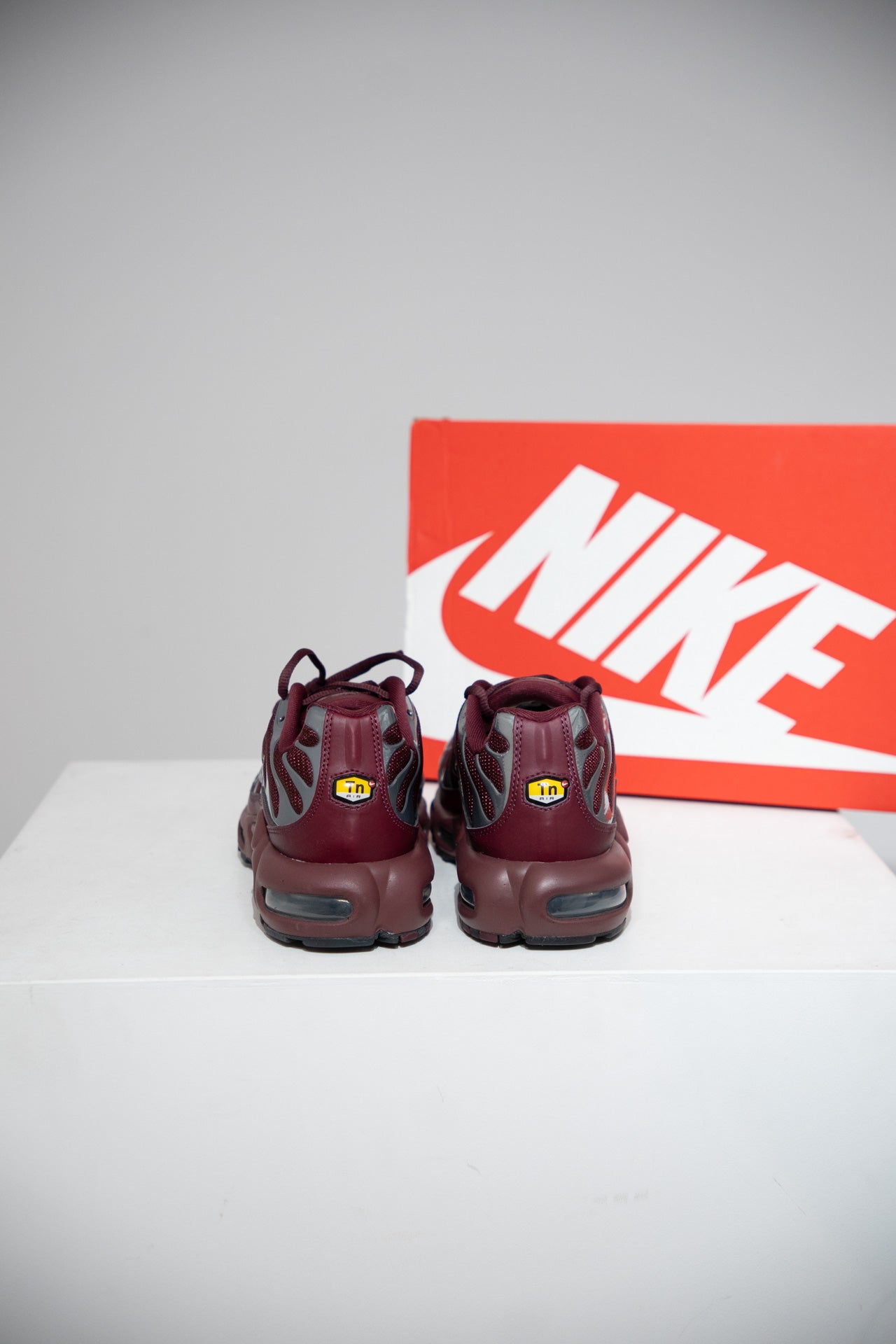 Air Max Plus (TN) Bordeaux (Taille 44)