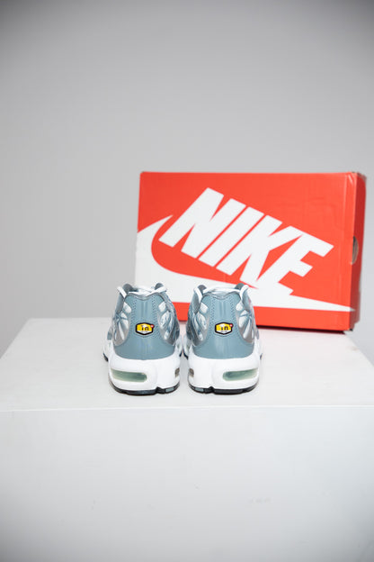 Air Max Plus (TN) Palm (Taille 45,5)