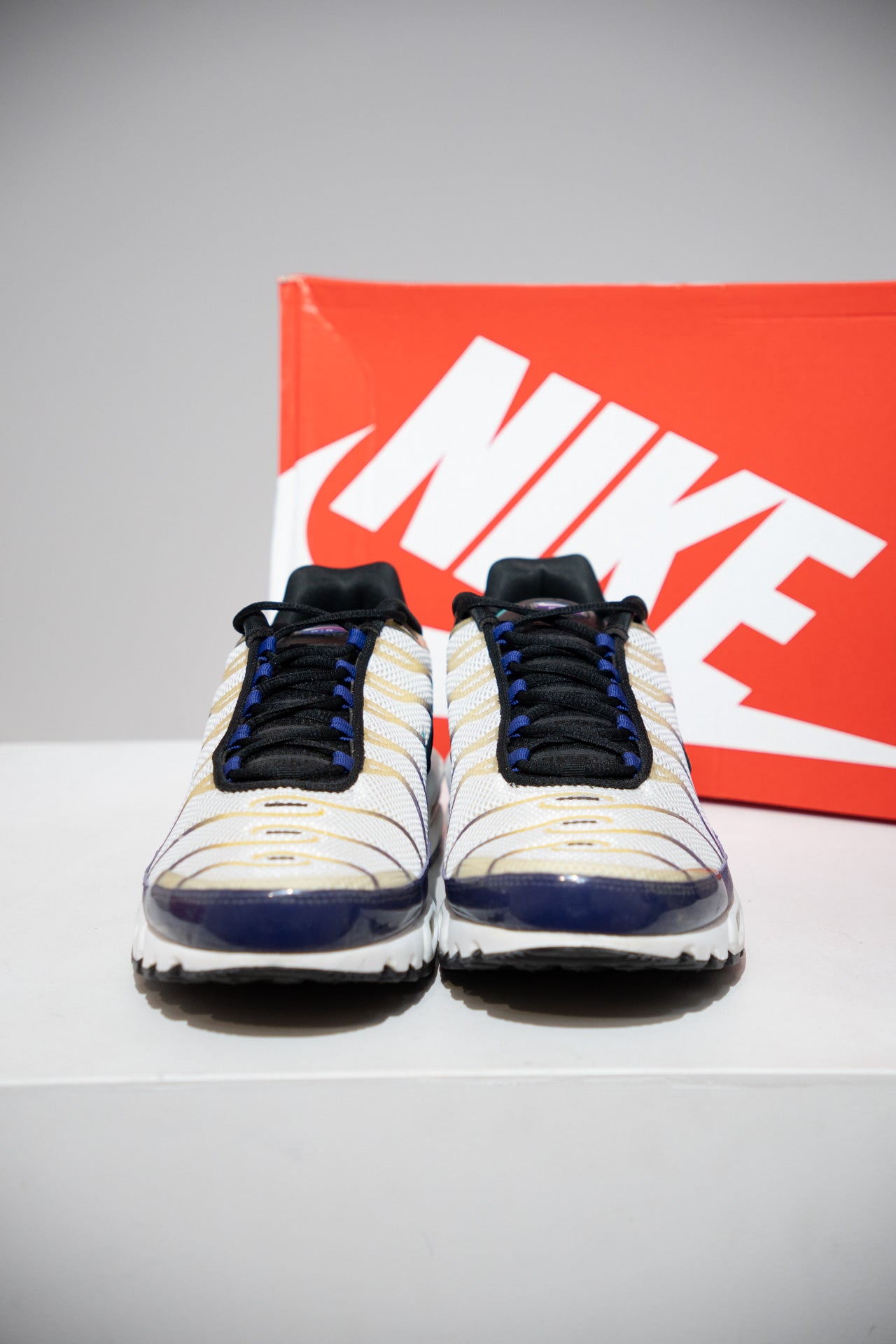 Air Max Plus (TN) Raisin (Taille 46)