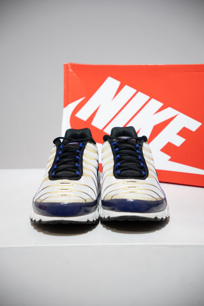 Air Max Plus (TN) Raisin (Taille 46)