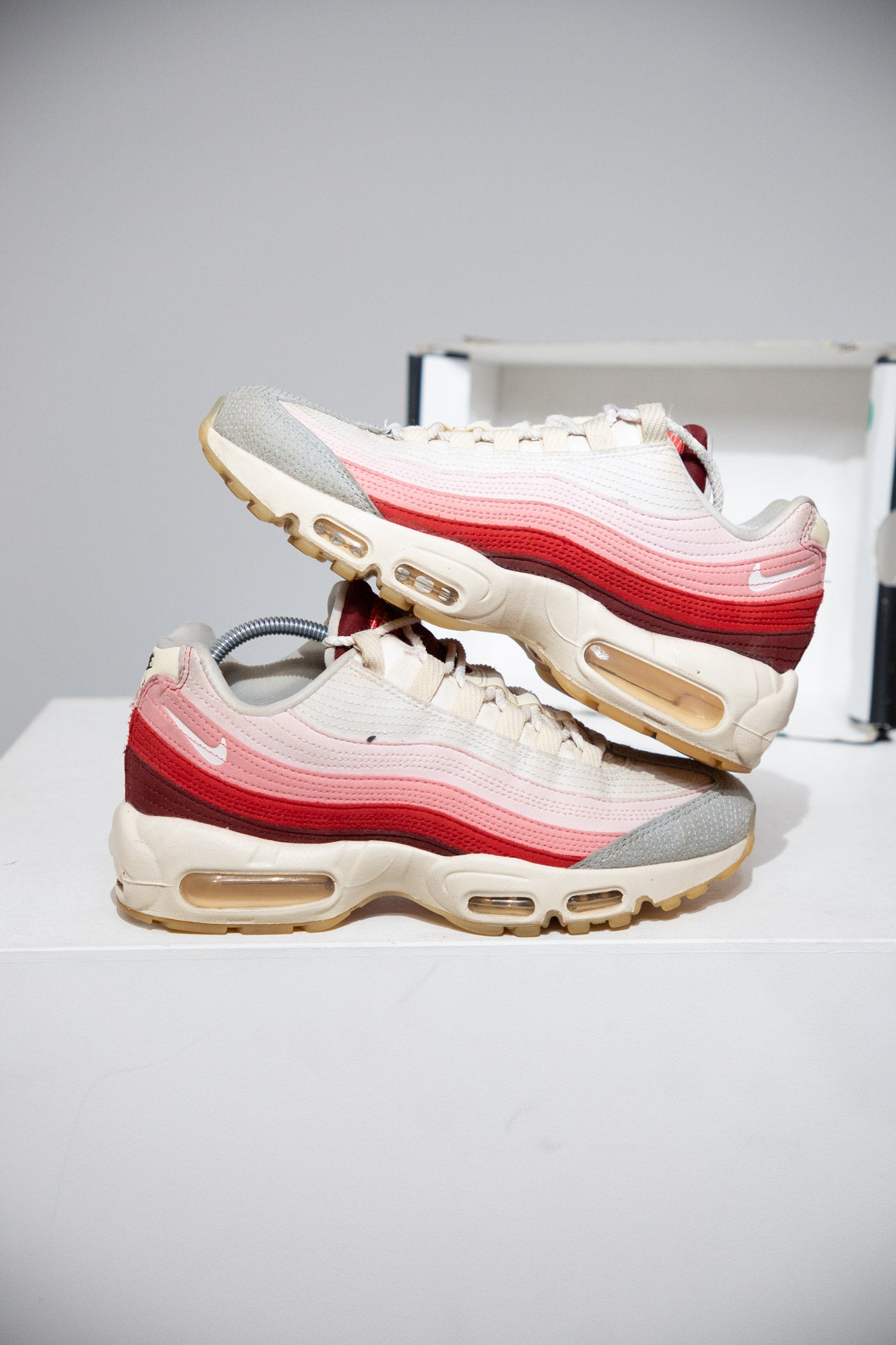 Air Max 95 Anatomy Of Air (Taille 40)