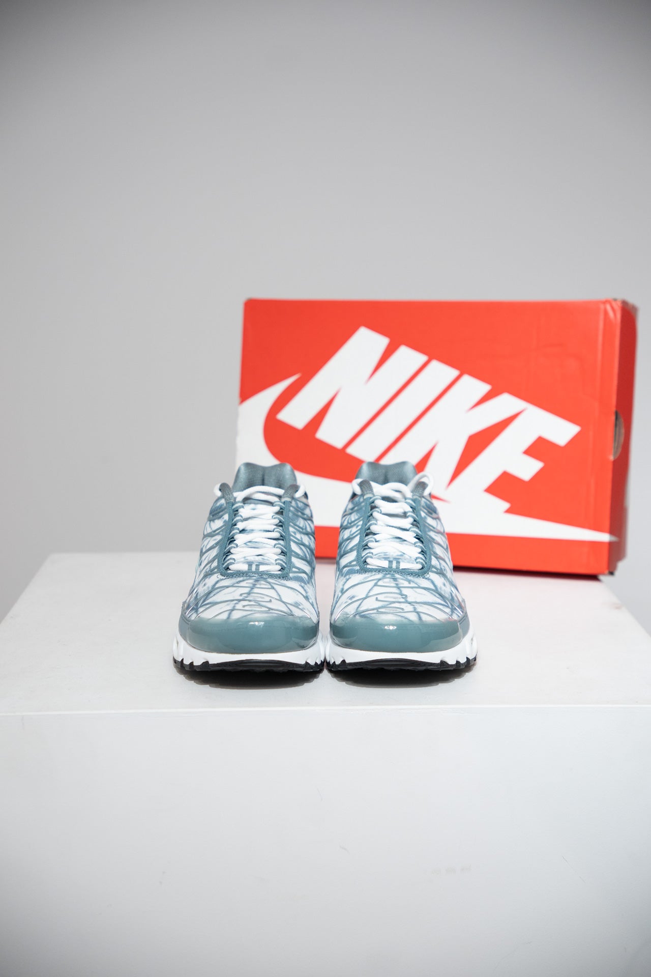 Air Max Plus (TN) Palm (Taille 43)