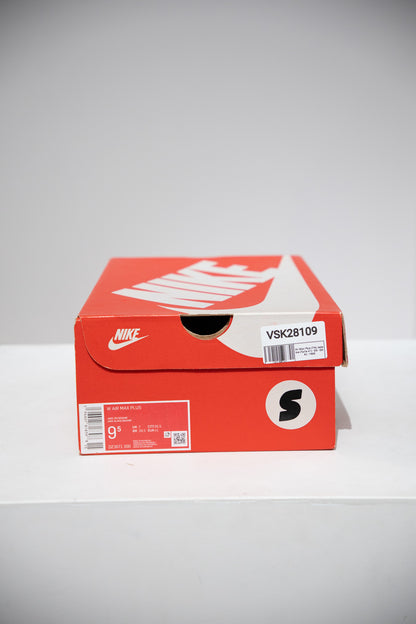Air Max Plus (TN) Jade Ice (Taille 41)