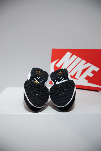 Air Max Plus (TN) Rainbow (Taille 42)
