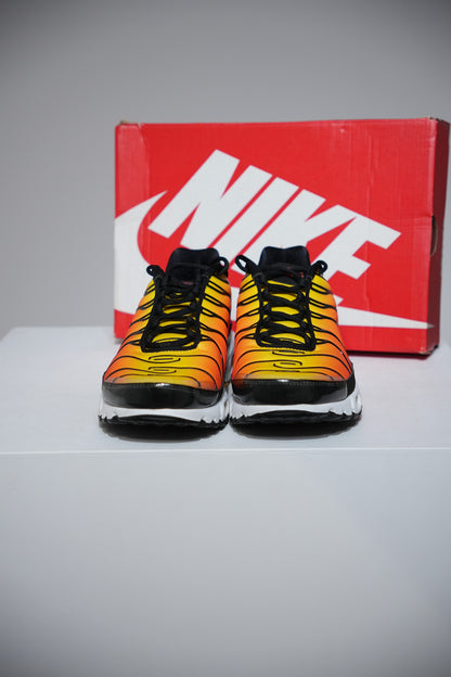 Air Max Plus (TN) Sunset (Taille 40)