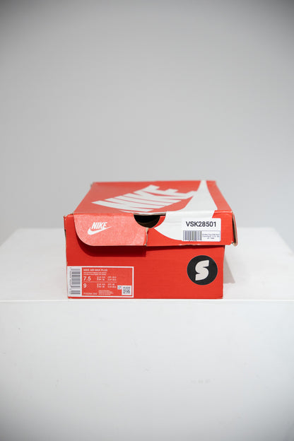 Air Max Plus (TN) Palm (Taille 40,5)