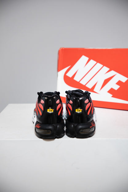 Air Max Plus (TN) Sisterhood (Taille 44,5)