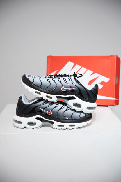 Air Max Plus (TN) Swoosh Pack Bleu (Taille 42,5)