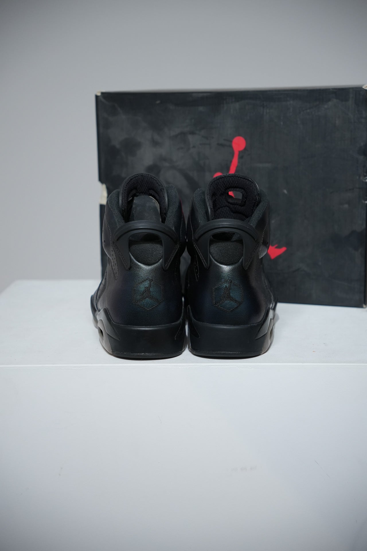 Jordan 6 All Star (Taille 45)