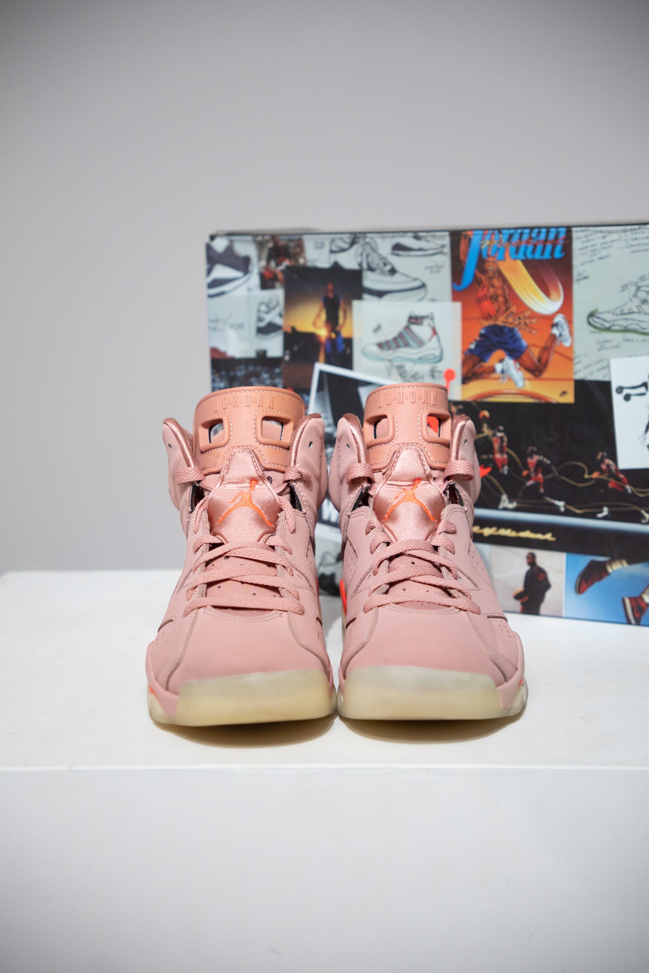 Jordan 6 Aleali May (Taille 41)