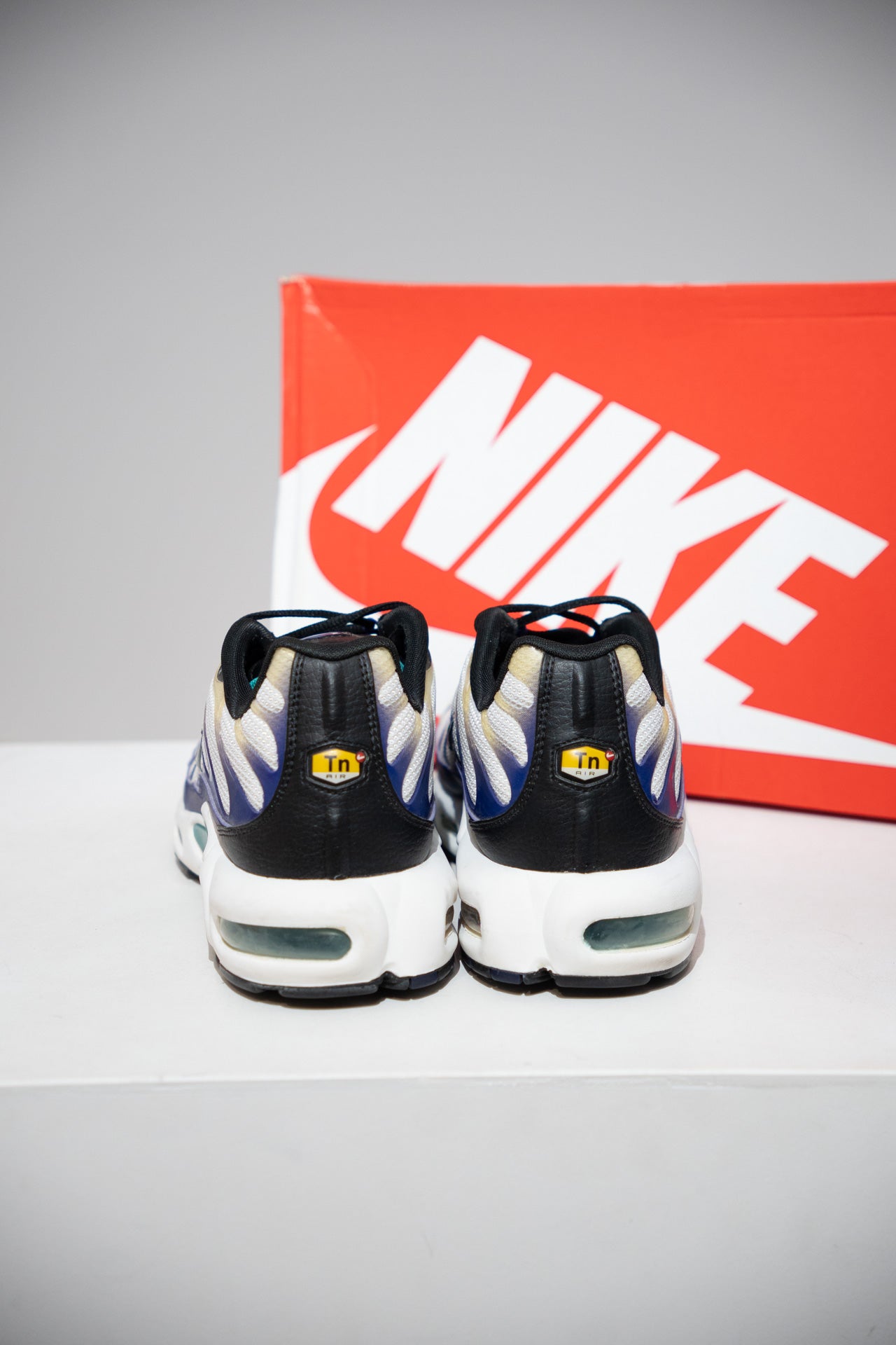 Air Max Plus (TN) Raisin (Taille 46)