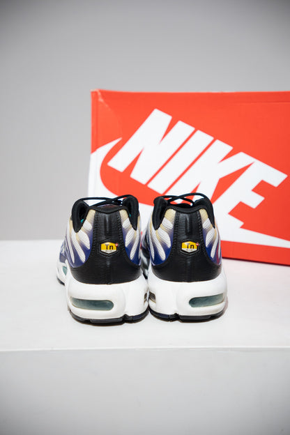 Air Max Plus (TN) Raisin (Taille 46)