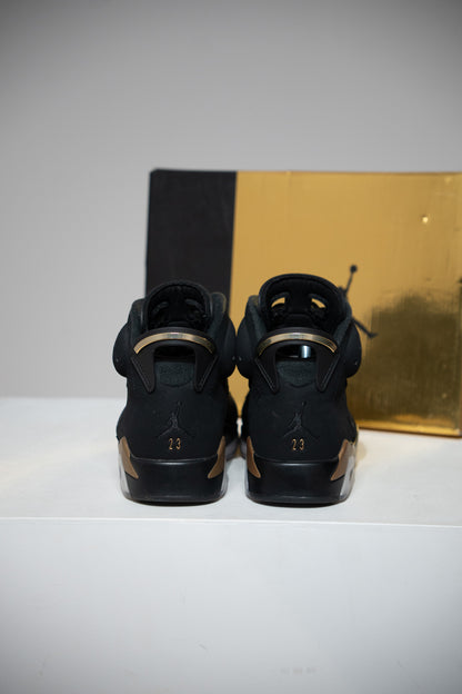 Jordan 6 DMP (Taille 40)
