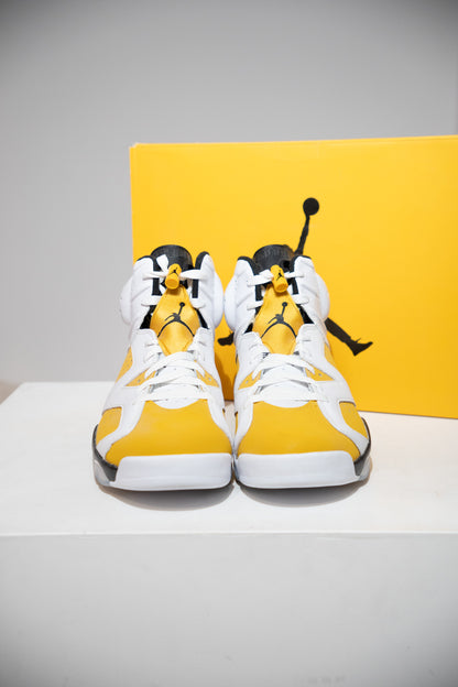 Jordan 6 Yellow Ochre (Taille 47,5)