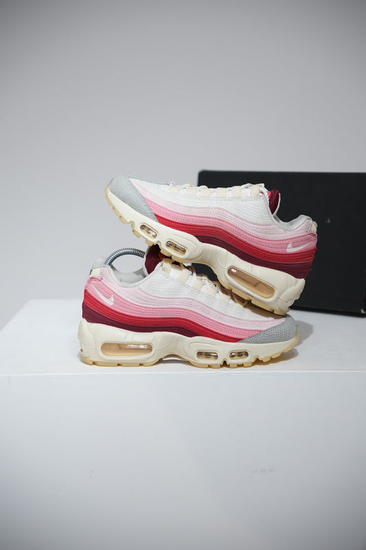 Air Max 95 Anatomy Of Air (Taille 36)