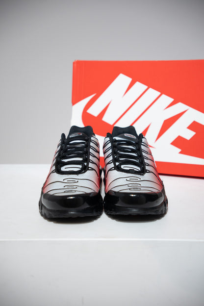 Air Max Plus (TN) Pure platinium University Red (Taille 44)