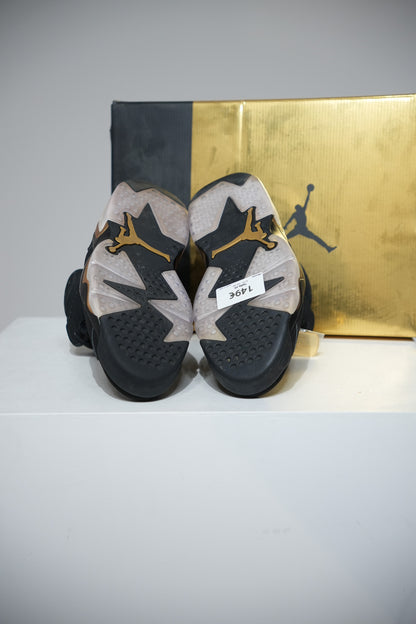 Jordan 6 DMP (Taille 45)