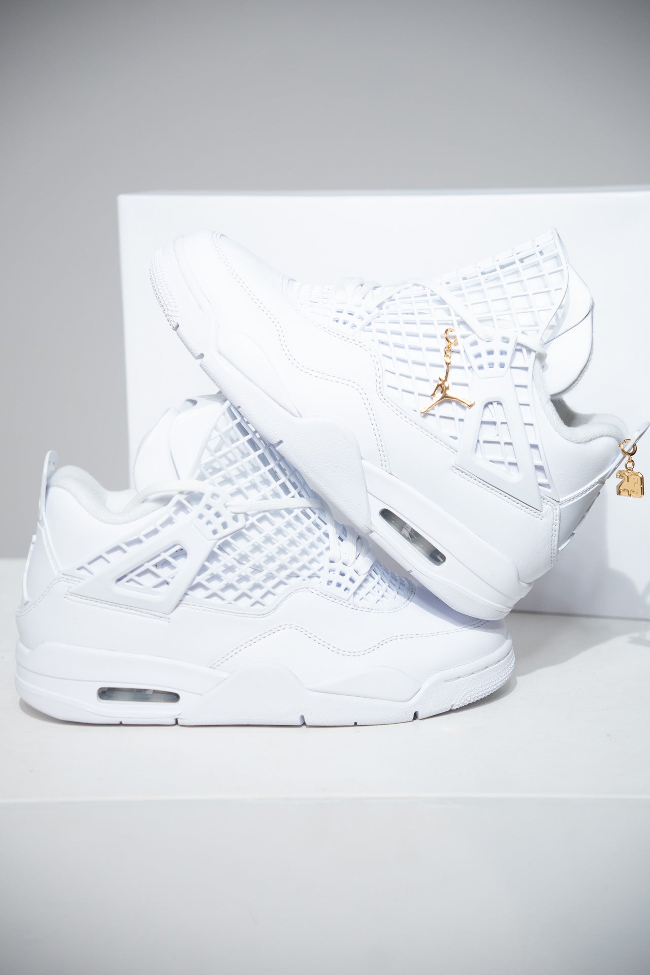 Jordan 4 Net (Taille 39)