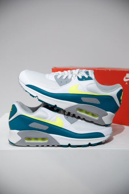 Air Max 90 Epicea (Taille 45)
