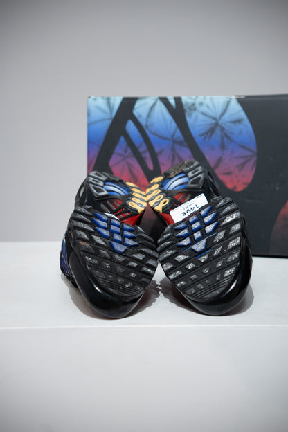 Air Max Plus (TN) Anniversary (Taille 45,5)