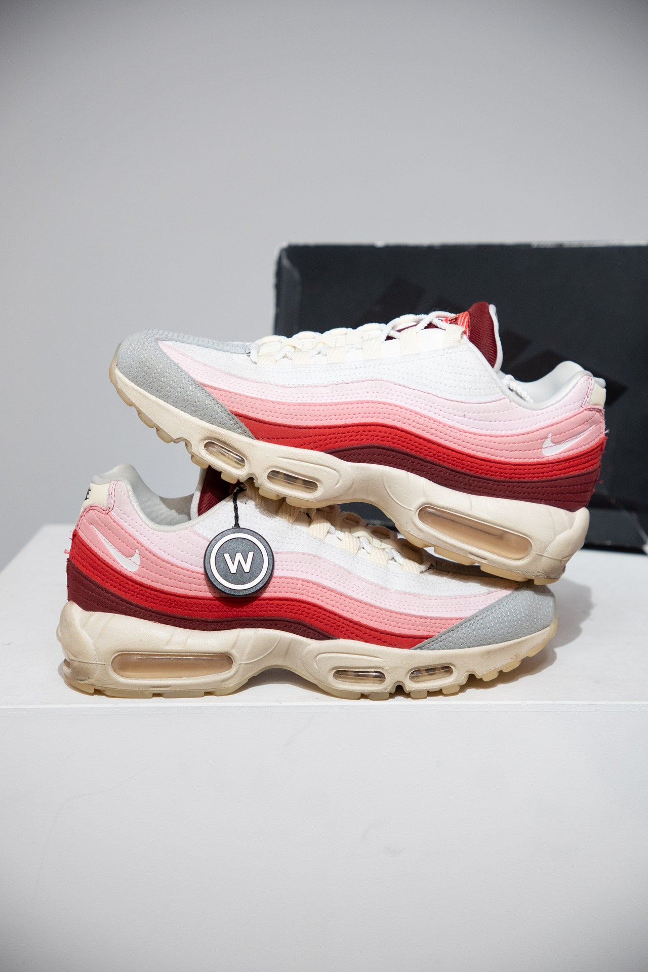 Air Max 95 Anatomy Of Air (Taille 42,5)