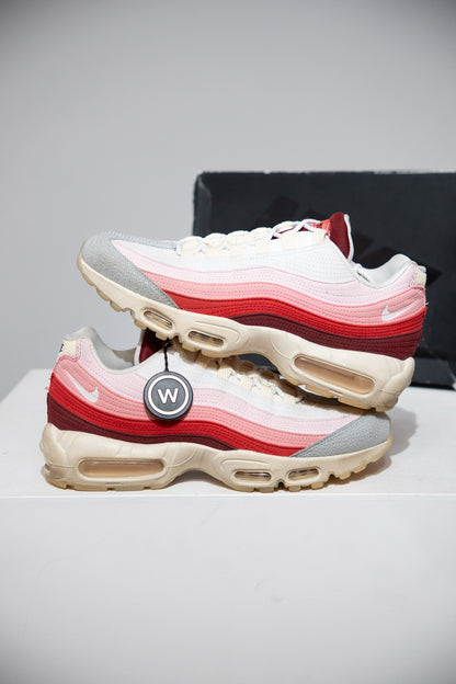 Air Max 95 Anatomy Of Air (Taille 42,5)