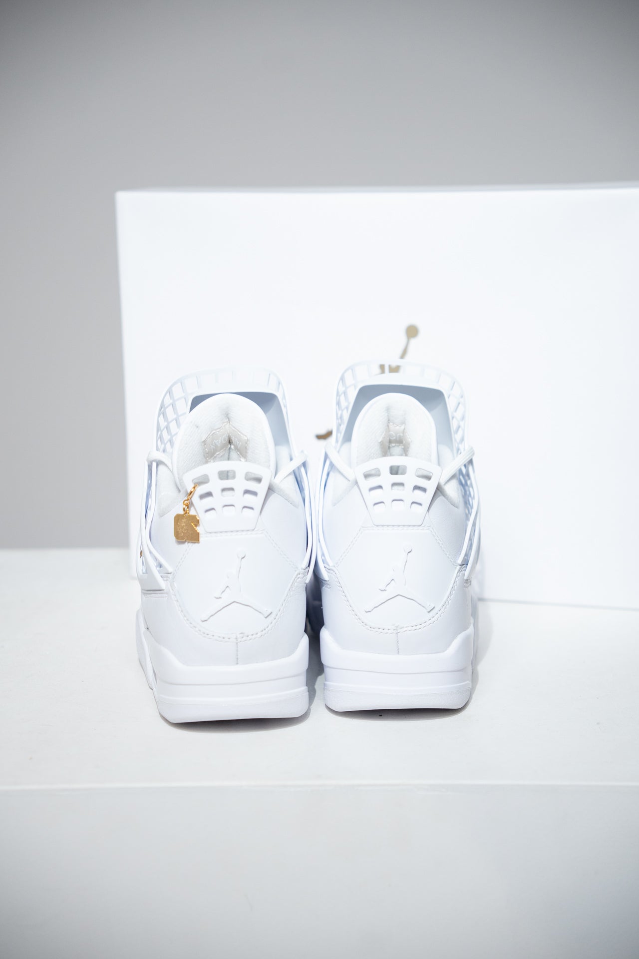 Jordan 4 Net (Taille 39)