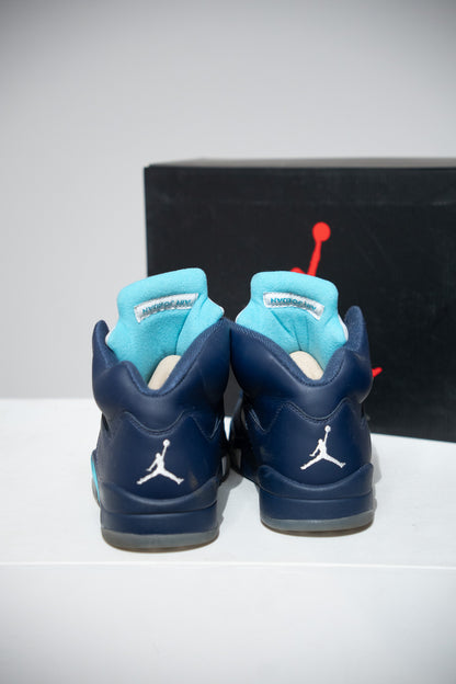 Jordan 5 Pre Grape (Taille 41)