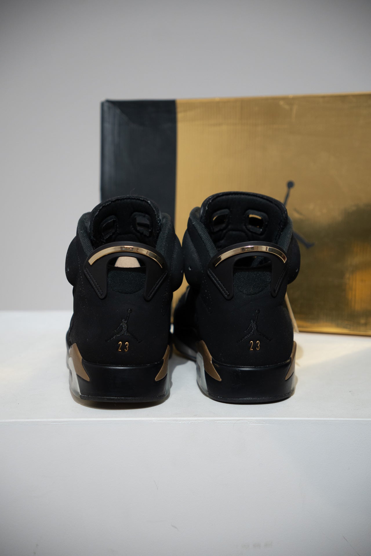 Jordan 6 DMP (Taille 45)