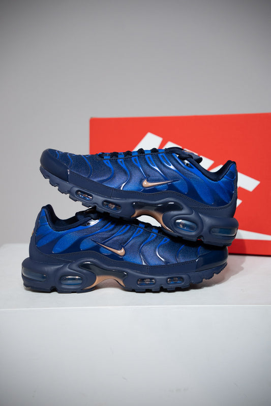 Air Max Plus (TN) FFF 2.0 (Taille 43)
