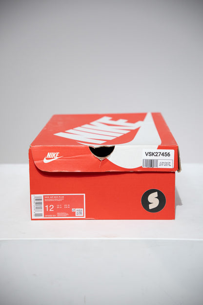 Air Max Plus (TN) Sunset (Taille 46)