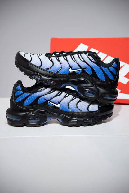 Air Max Plus (TN) White Saphirre (Taille 42)