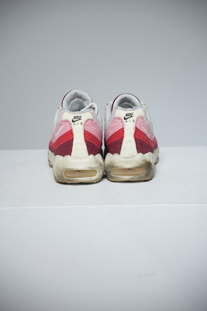 Air Max 95 Anatomy Of Air (Taille 45)