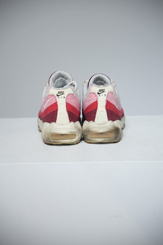 Air Max 95 Anatomy Of Air (Taille 45)