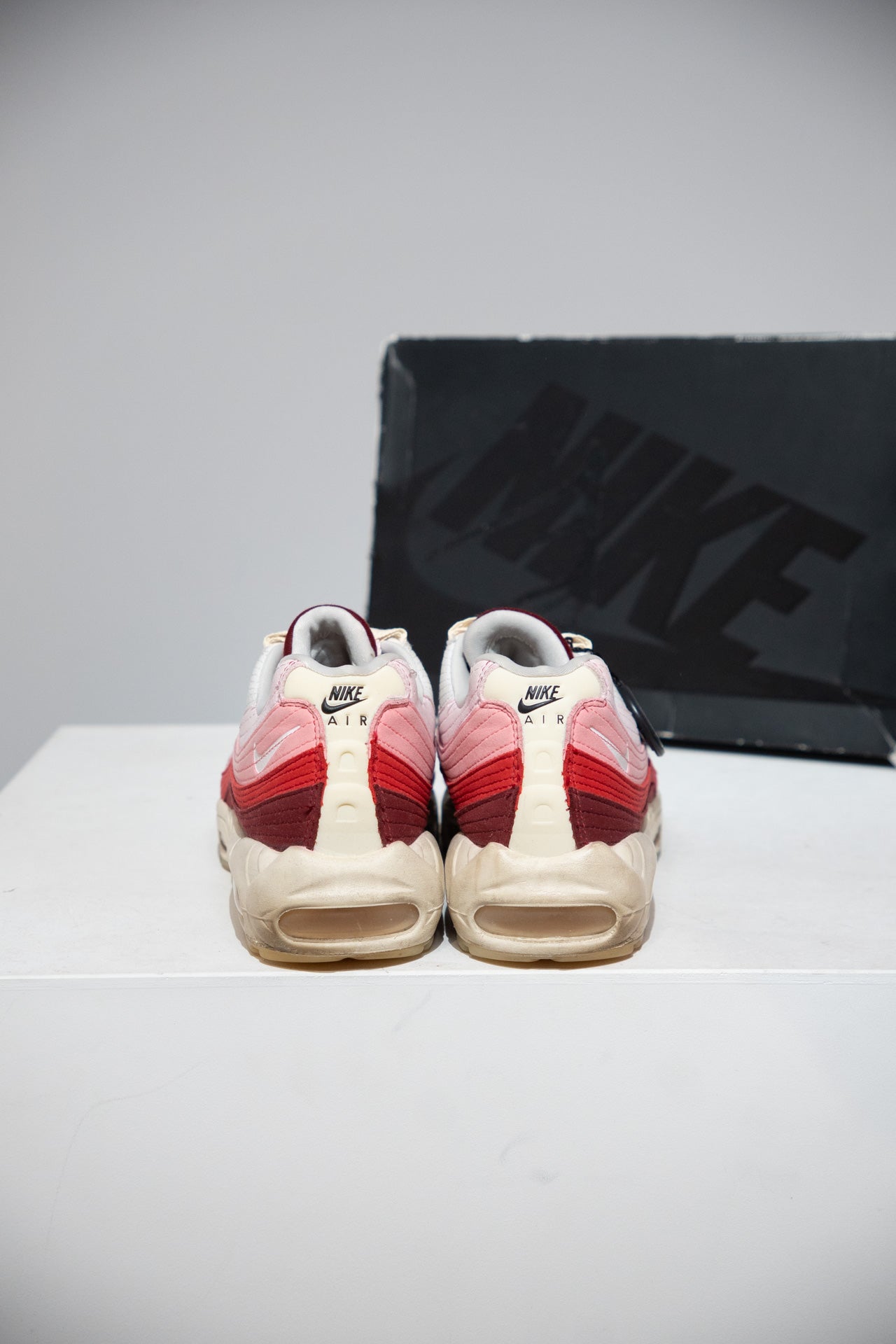 Air Max 95 Anatomy Of Air (Taille 42,5)