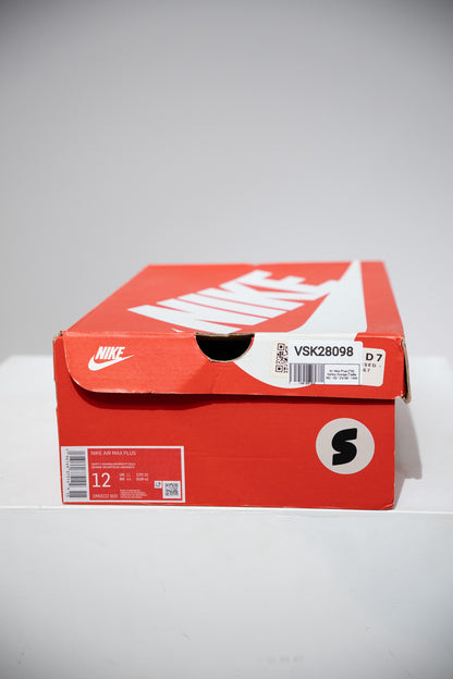 Air Max Plus (TN) Safety Orange (Taille 46)