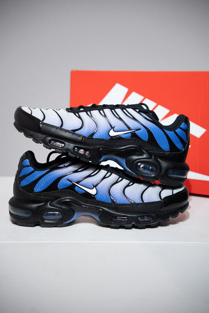 Air Max Plus (TN) White Saphirre (Taille 43)