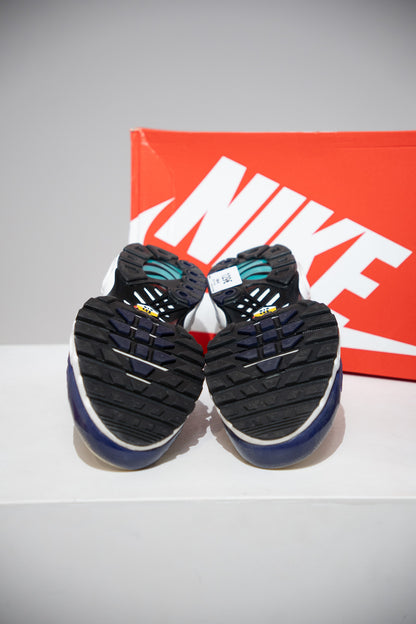Air Max Plus (TN) Raisin (Taille 46)