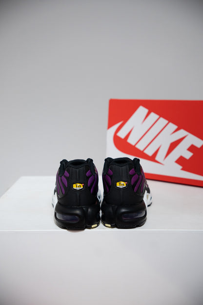 Air Max Plus (TN) Bold Berry Citron Tint (Taille 42)