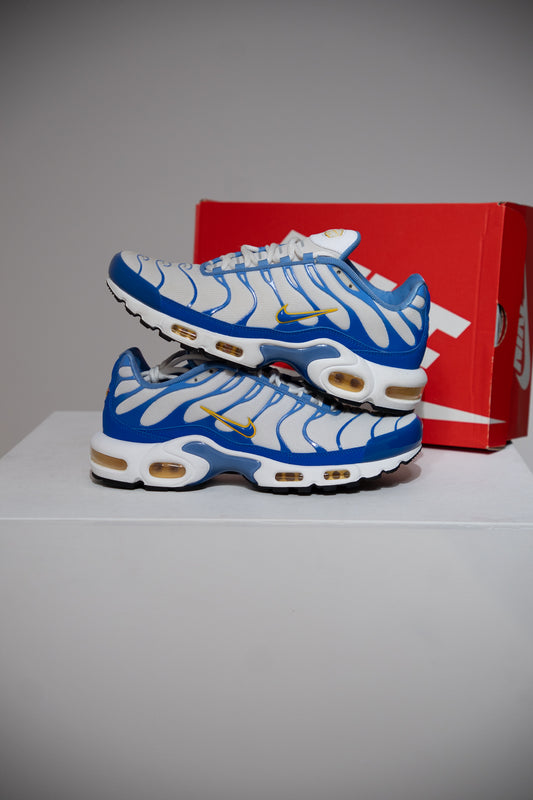 Air Max Plus (TN) Lyon Blue Polar (Taille 42,5)
