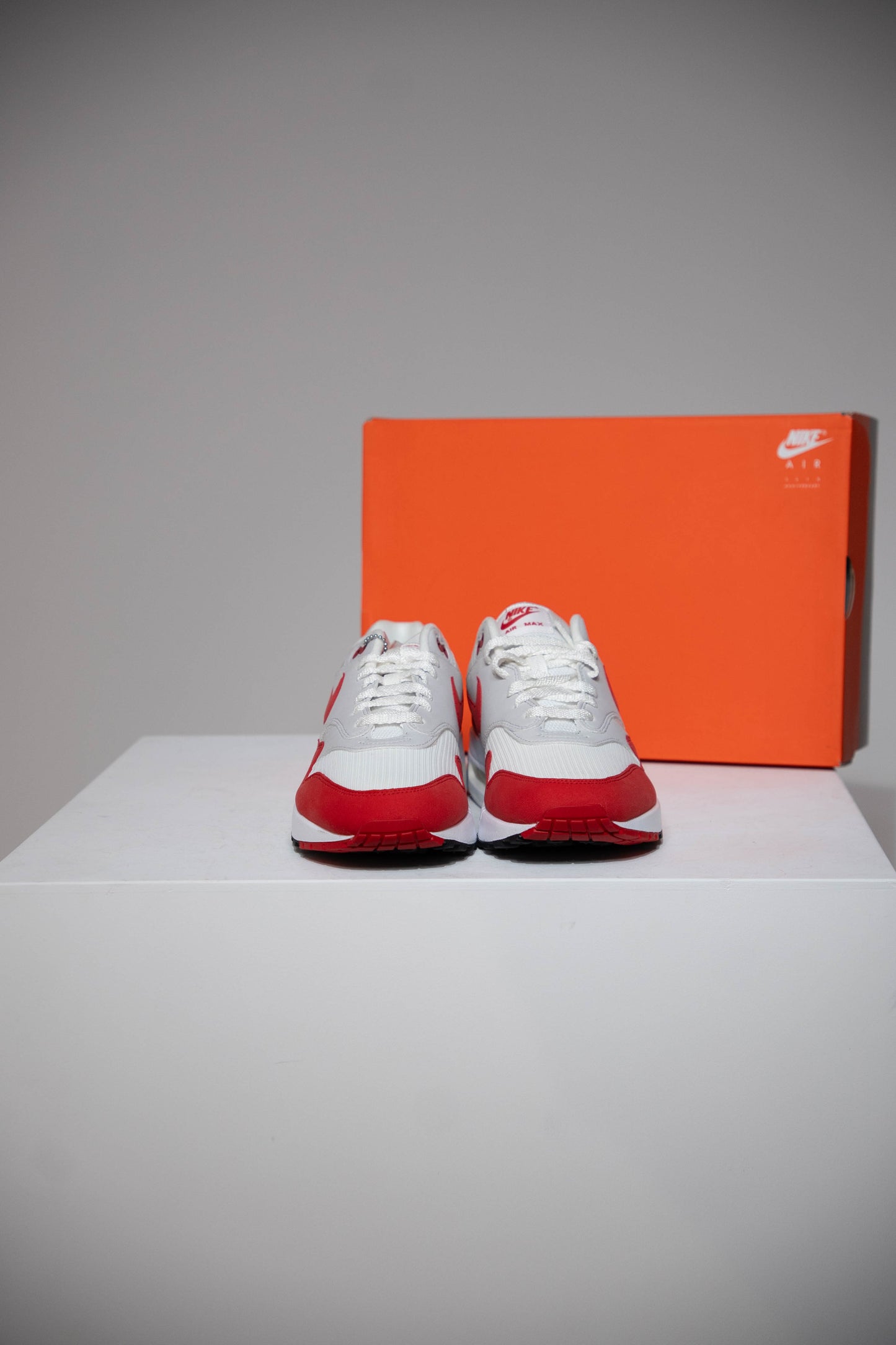 Air Max 1 Anniversary Red (Taille 44)