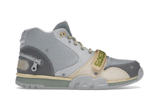 Air trainer Cactus Jack Grey — officielle