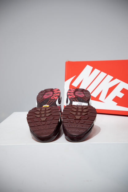 Air Max Plus (TN) Bordeaux Crush (Taille 41)
