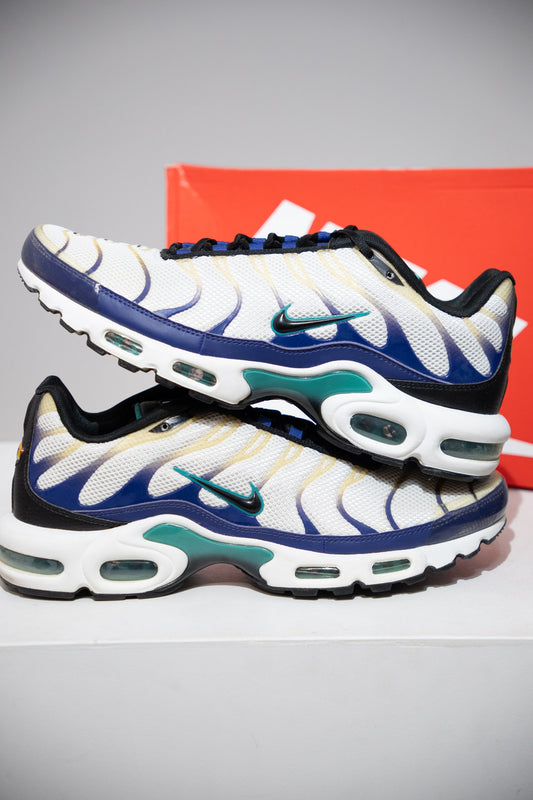 Air Max Plus (TN) Raisin (Taille 46)