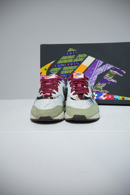 Air max 1 Concept Heavy (Taille 41)